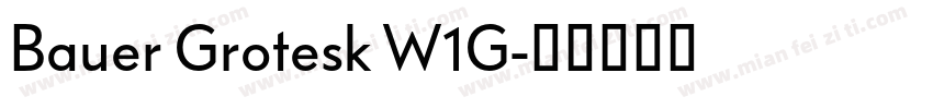 Bauer Grotesk W1G字体转换